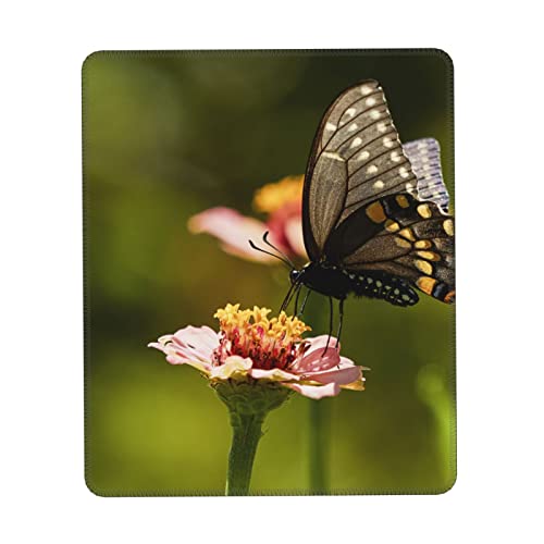 EVANEM Kleines Mauspad, 17,8 x 21,8 cm, Schmetterling auf Blumendruck, Laptop-Mauspad mit rutschfester Unterseite für Computerspiele von EVANEM