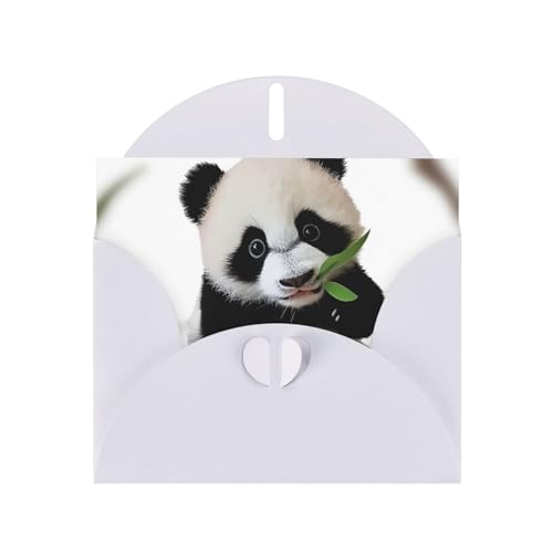 Kleiner Panda doppelseitige Perlglanz-Urlaubs-Grußkarten – Weihnachtskarten/Geburtstagskarten/Valentinstagskarten/Hochzeitseinladungen (mit Umschlägen) von EVANEM