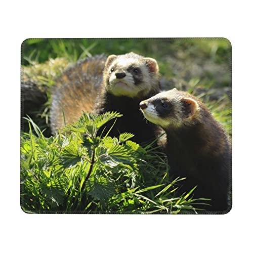 Wildlife Frettchen-Mauspad, rutschfeste Unterseite, Computer-Mauspad, glatte genähte Kanten, Gaming-Schreibtischmatte, klein für Büro, Zuhause, 17,8 x 21,6 cm von EVANEM