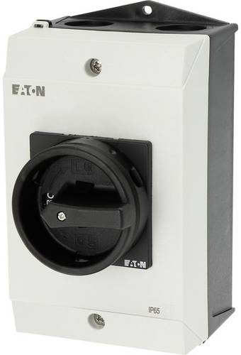 Eaton P1-25/I2H/MBS/SVB-SW/HI11 Wartungsschalter für Bodenbefestigung, verriegelbar 690V Schwarz 1S von Eaton