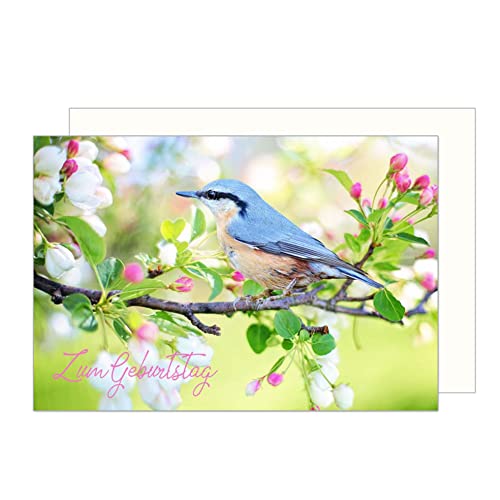 Edition Seidel Premium Geburtstagskarte mit Umschlag. Glückwunschkarte Grusskarte Billet Happy Birthday Mann Frau Zum Geburtstag Vogel Ast Blüten Frühling Karte (G3070 SW023) von Edition Seidel