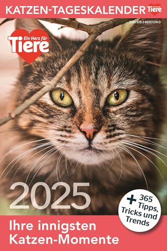 Ein Herz für Tiere: Katzen Tageskalender 2025 (Tischkalender, Wandkalender) von Ein Herz fuer Tiere