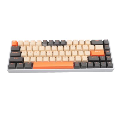 Elprico Kabellose Mechanische Tastatur, 68 Tasten, 60 Prozent Blauer Schalter, Mechanische Tastatur mit RGB-Hintergrundbeleuchtung, 2,4 G Kabellose Bluetooth-Typ-C-kabelgebundene von Elprico