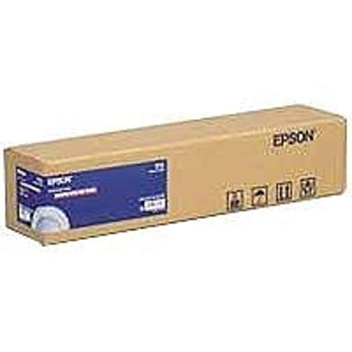 Epson C13S041893 Glossy Photo Papier Inkjet 250g/m2 610 mm x 30.5 m 1 Rölle Pack von Epson