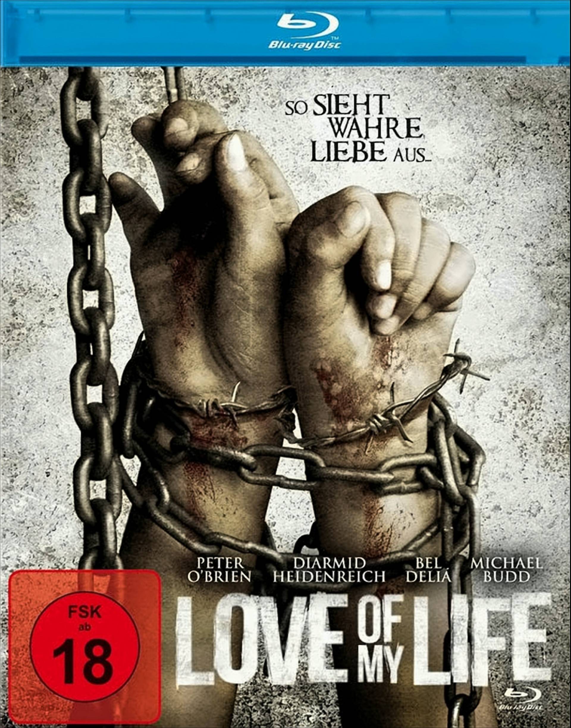 Love of My Life (Uncut Unrated Edition) von Eurovideo Medien GmbH