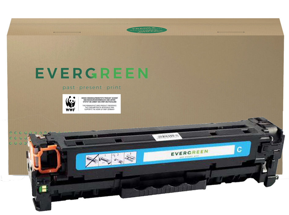 EVERGREEN Toner EGTK3100E ersetzt KYOCERA TK-3100, schwarz von Evergreen