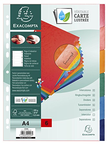 Exacompta 2206E Premium-Register für DIN A4 aus starkem Colorspankarton 6-teilig volle Höhe 22,5 x 29,7 cm vollfarbig 6 Farben verstärkte Taben Trennblätter Trennstreifen von Exacompta