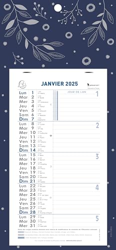 Exacompta - 33205E – Monatskalender mit Abreißblättern – 13 x 23 cm – auf pflanzlicher Illustrationskarte – 16 x 33 cm – Januar bis Dezember 2025 – Farbe Blau von Exacompta