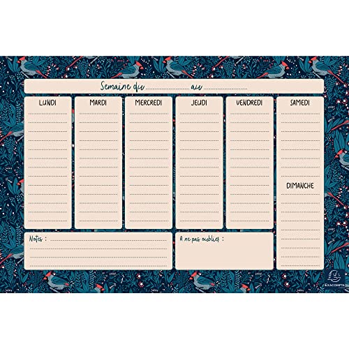 Exacompta - 337002E - Hebdo Planner Color Design - 26,5 x 18 cm - Visuell blau von Exacompta