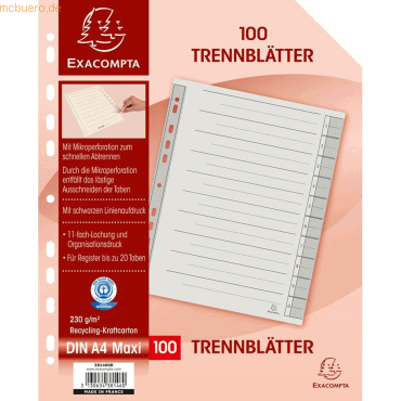 Exacompta Trennblatt A4 230g/qm Karton (RC) VE=100 Stück grau von Exacompta