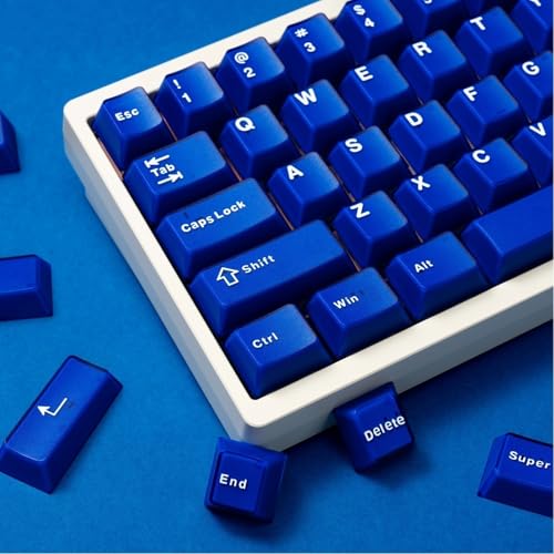 Tastenkappen Der Jade Serie, Minimalistische Double-Shot ABS Cherry Profile Keycap für Mechanische Tastaturen(Blue) von ExotiCore