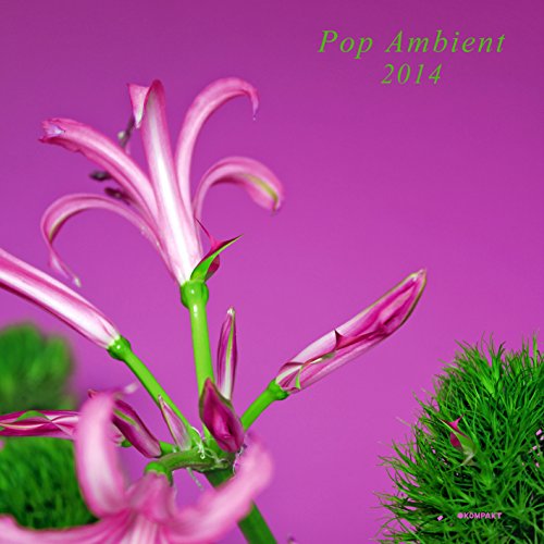 Pop Ambient 2014 von FAMILY