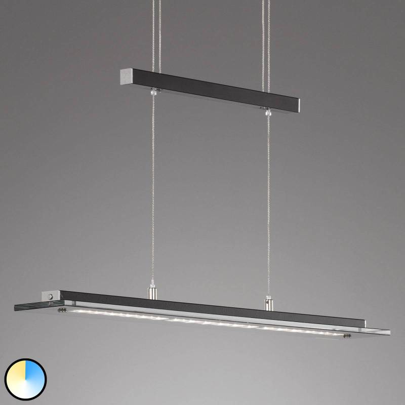 LED-Hängeleuchte Tenso TW mit Dimmer, schwarz 88cm von FISCHER & HONSEL