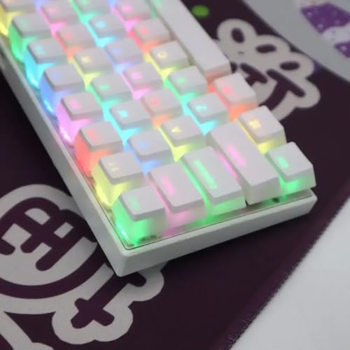 FKLGRDRD 104 Taste Mechanische Tastaturschlüsselkaps Retbel beleuchtet kompatible niedliche ABS -Tastaturen Zwei Farbdesign(White PBT) von FKLGRDRD