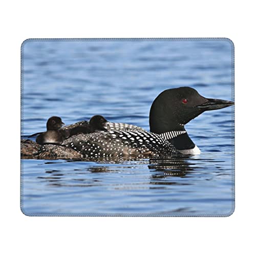 FROON Loon Birds Mauspad mit genähtem Rand, rutschfeste Gummiunterseite, hochwertig strukturiertes und wasserdichtes Mauspad für Computer, Laptop, Büro und Zuhause, 30 x 25 cm, 3 mm von FROON