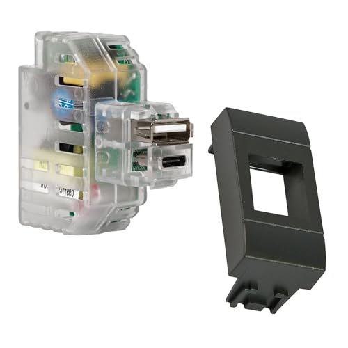 FANTON 82893-32 USB A+C 2,4 A Einbau-Keystone-Anschluss, komplett mit Kampfadapter mit Platten und Halterungen BTICINO Living Light/International von Fanton