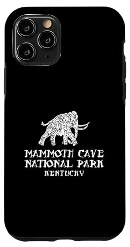 Hülle für iPhone 11 Pro Mammoth Höhle Malerei Mammoth Cave National Park Kentucky von Fashion Book