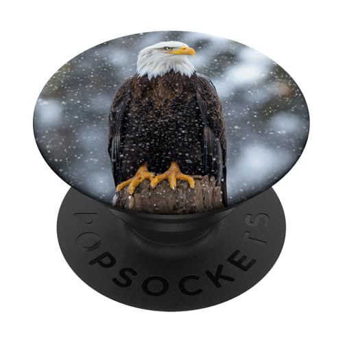 Weißkopfseeadler in verschneiter Winterszene PopSockets Klebender PopGrip von Festive Holiday Pavilion & Curations