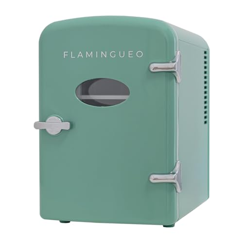 Flamingueo Mini Kühlschrank 4L - Kühlschrank Klein, 12V/220V, Funktion Kühlen und Heizen, Kleiner Kühlschrank, Kühlschrank Mini, Kosmetik Kühlschrank von Flamingueo