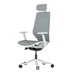 FlexiSpot Bürostuhl BS11 Pro Stoff grau, Gestell grau von FlexiSpot