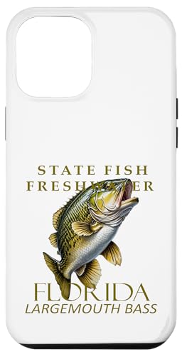 Hülle für iPhone 12 Pro Max Florida Süßwasserfische Großbarsch von Florida Territory Symbols Gifts & Tees taiche