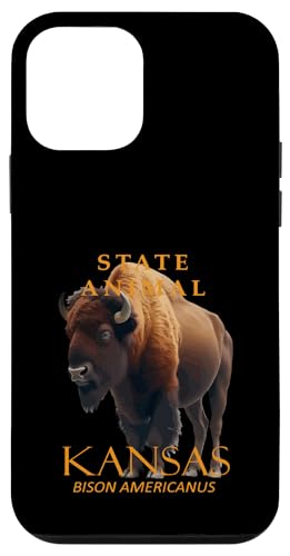 Hülle für iPhone 12 mini Tier aus dem Kansas-Territorium Bison Americanus von Florida Territory Symbols Gifts & Tees taiche