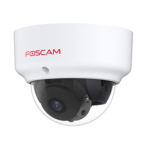 Foscam D2EP PoE IP Kamera Outdoor HD 2 MP Infrarot 20 m Antiandalic IK10 Intelligente menschliche Erkennung, kompatibel mit Amazon Alexa von Foscam