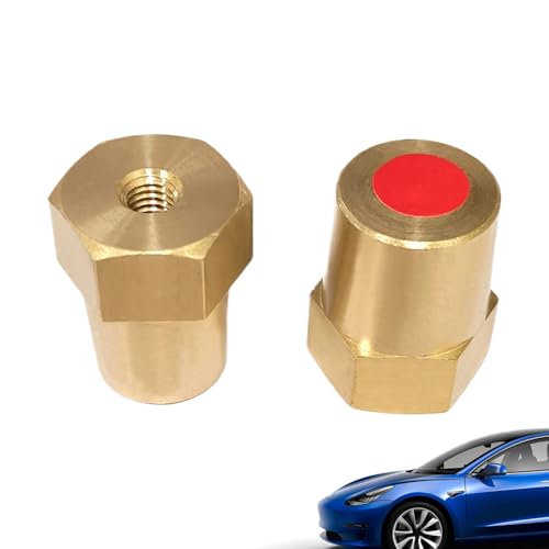 2 Ladestifte, automatische Ladestangen, Zubehör für die Änderung der Batterie. Auto-Stecker-Adapter Anschlussteile für Automobilfahrzeuge Upgrade-Änderung P von Fravsiu