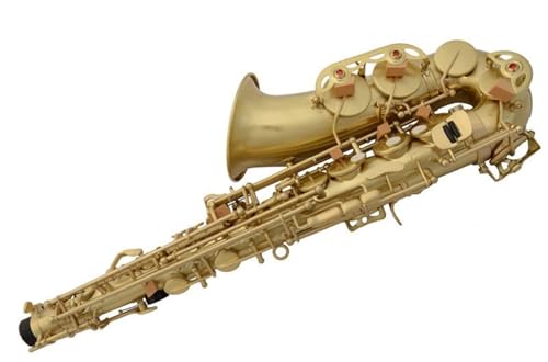 Saxophone Alt-Es-Saxophon Blaues Zeichensaxophon für Anfänger Einstieg Professionelle Leistung Anfängersaxophon von GIFKIMERO