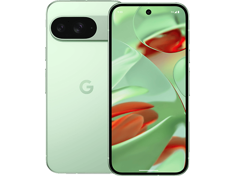 GOOGLE Pixel 9 256 GB Wintergreen Dual SIM von GOOGLE