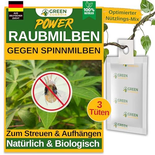 GREEN GUARDIA Power Raubmilben gegen Spinnmilben – 3 Tüten - Biologisches Mittel zur effektiven Spinnmilben Bekämpfung für Zimmer- & Zierpflanzen sowie Canna. – chemiefreie Mittel von GREEN GUARDIA