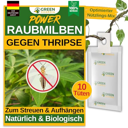 GREEN GUARDIA Power Raubmilben gegen Thripse – 10 Tüten -Biologisches Mittel zur effektiven Thripse Bekämpfung für Zimmer- & Zierpflanzen sowie Canna. – umweltfreundlich,chemiefreie Mittel von GREEN GUARDIA