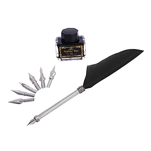 GRIRIW 10 Teiliges Set Retro Stil Federkiel Schreibfeder Tintenstift Für Elegante Schwarze Tinte Ideales Schreibzubehör Für Büro Und Kreativität von GRIRIW