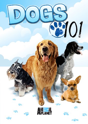 Dogs 101 [DVD] [Region 1] [NTSC] [US Import] von Gaiam