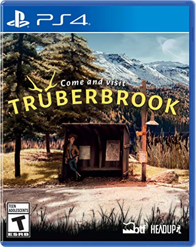 Truberbrook for PlayStation 4 von Gamequest