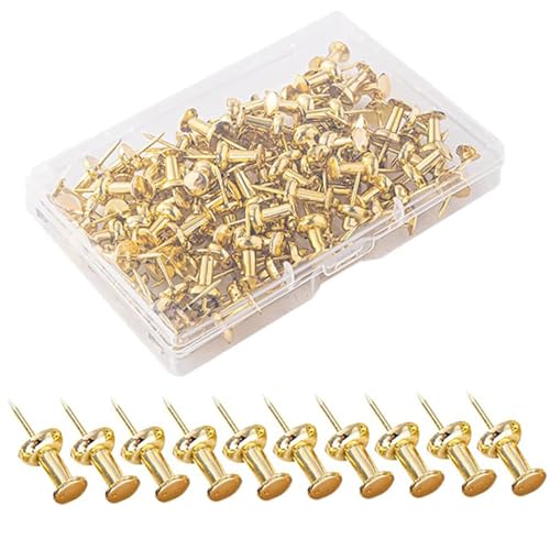 100pcs Pins für Korkbrett, 0,9 -Zoll -Legierungsstifte mit Aufbewahrungsbox, Korkboardstifte Golden Decorative Daumen Tacks zum festen Fotos, Hinweise, Plakaten, tägliche Pläne und Bilder.. von Gcroet