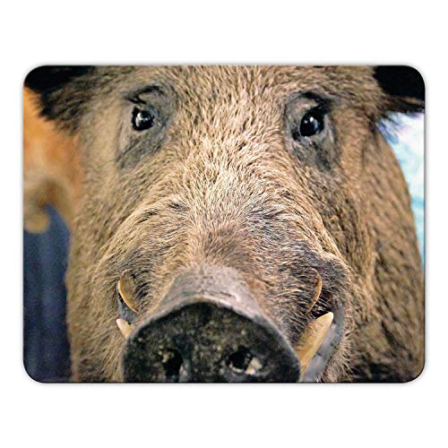 Addies Mousepad 'Wildschwein' schönes Mauspad Motiv in feiner Cellophan Geschenk-Verpackung, 24 x19cm - MP05 von Geist und Geschenk