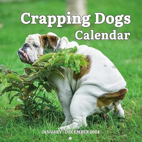 2024 FunnyCalendarGift Hundekot Neujahrskalender Hund Papa Kalender 2024 Kalender (Grün, Einheitsgröße) von Gelb&Schwarz