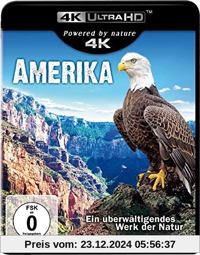 Amerika  (4K Ultra HD) [Blu-ray] von George Palmer