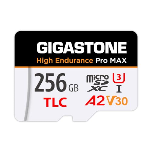 GIGASTONE 256 GB Micro-SD-Karte, hohe Ausdauer Pro MAX Serie Geschwindigkeit bis zu 160 MB/s, kompatibel mit Redtiger Rove VIOFO VANTRUE PRUVEEO Dash Cam, MicroSDXC UHS-I A2 V30 U3 von Gigastone