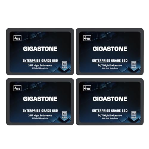 Gigastone 4TB Enterprise SSD NAS Festplatte (4er-Pack) Hohe Dauerhaltbarkeit SSD Server Festplatte für 24/7 Dauerbetrieb NAS-Systeme RAID 2,5 Zoll SATA III Internes Festkörper-Laufwerk NAS Caching von Gigastone