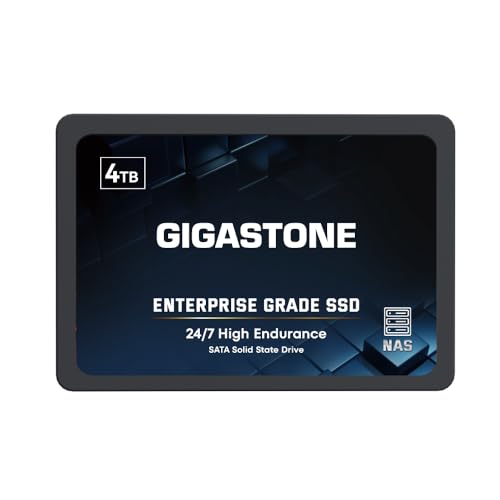 Gigastone NAS SSD 4TB Enterprise SSD Festplatte Hohe Dauerhaltbarkeit Server SSD für 24/7 Dauerbetrieb NAS-Systeme RAID 2,5 Zoll SATA III Internes Festkörper-Laufwerk NAS Caching von Gigastone