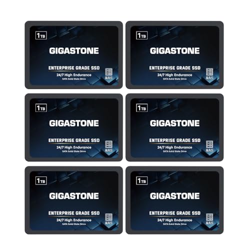 Gigastone NAS SSD 1TB Enterprise SSD Festplatte (6er-Pack) TLC Hohe Dauerhaltbarkeit Server SSD für 24/7 Dauerbetrieb NAS-Systeme RAID 2,5 Zoll SATA III Internes Festkörper-Laufwerk NAS Caching von Gigastone