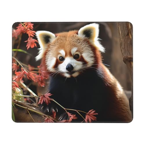 MousePad Kleines Mauspad mit rutschfester Gummiunterseite, rote Pandas, Mauspads für Mann und Frau, Computer-Mauspad für kabellose Maus, Tastaturmatte, Gaming-Schreibtischunterlage für Zuhause von GlbnSHeric