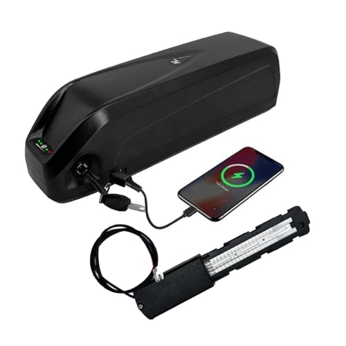 Ebike Akku Mit Ladegerät 48V, 8AH/10AH Lithium-Ionen-Batterie, Mit Ladegerät, Sicherheitsschloss, Abnehmbarer E-Bike Batterie Für Motor 200W-1800W, Elektrofahrrad Batterie Ersatzakku 10ah von Glcfound