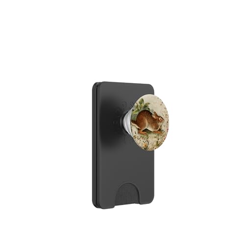 Hase im Vintage-Stil mit floraler Grafik und Tiermotiv PopSockets PopWallet für MagSafe Hase im Vintage-Stil mit floraler Grafik und Tiermotiv PopSockets PopWallet für MagSafe von Gnosis Picture Archive