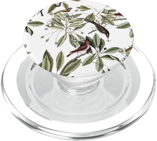 Natur-Design mit Vögeln auf Ästen PopSockets PopGrip für MagSafe Natur-Design mit Vögeln auf Ästen PopSockets PopGrip für MagSafe von Gnosis Picture Archive