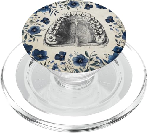 Zahnthema Vintage menschliche Zähne Anatomie Grafik PopSockets PopGrip für MagSafe Zahnthema Vintage menschliche Zähne Anatomie Grafik PopSockets PopGrip für MagSafe von Gnosis Picture Archive