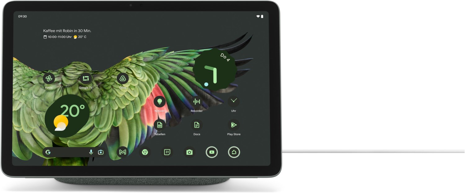 Pixel (GA04754-EU) Tablet hazel von Google