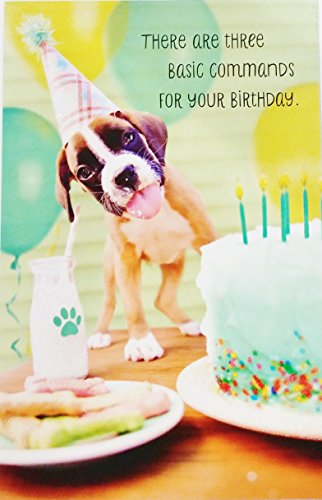 Es gibt drei grundlegende Befehle für Ihren Geburtstag – Have Fun/Eat Cake/Be Happy, Cute Funny Greeting Card w/Dog von Greeting Card